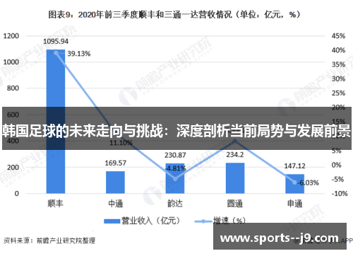 韩国足球的未来走向与挑战：深度剖析当前局势与发展前景