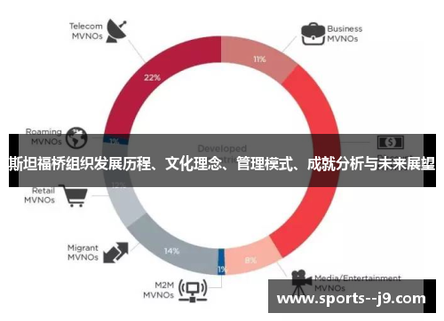 斯坦福桥组织发展历程、文化理念、管理模式、成就分析与未来展望 斯坦福桥组织发展历程、文化理念、管理模式、成就分析与未来展望