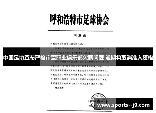 中国足协宣布严格审查职业俱乐部欠薪问题 逾期将取消准入资格 中国足协宣布严格审查职业俱乐部欠薪问题 逾期将取消准入资格