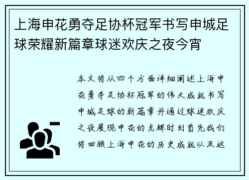 上海申花勇夺足协杯冠军书写申城足球荣耀新篇章球迷欢庆之夜今宵