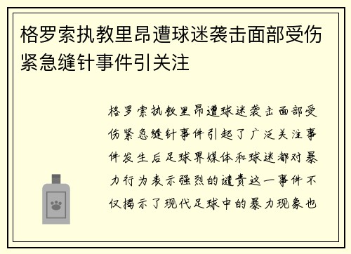 格罗索执教里昂遭球迷袭击面部受伤紧急缝针事件引关注